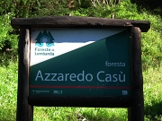 12 saliamo la Foresta Azzaredo Casù gestita dall'ERSAF....